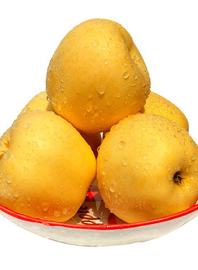 山东烟台黄元帅苹果软糯香甜精品