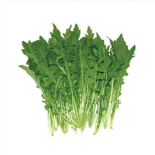 【顺丰包邮】农家自种大叶茼蒿蓬蒿菜新鲜蔬菜蒿子菜现摘现发火锅