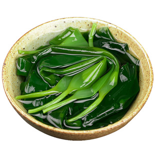 时全 5斤海带苗嫩特产霞浦新鲜盐渍小海带芽嫩苗级非干货火锅食材