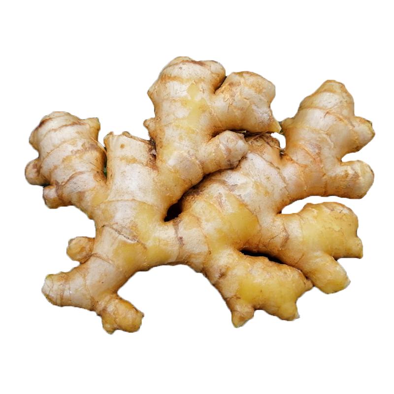 云南小黄姜新鲜生姜5斤老姜干姜现挖农家蔬菜黄姜沙姜嫩姜10包邮