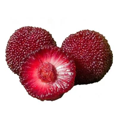 杨梅鲜果冰杨梅孕妇水果冰冻仙居杨梅东魁杨梅10斤杨梅专用泡酒