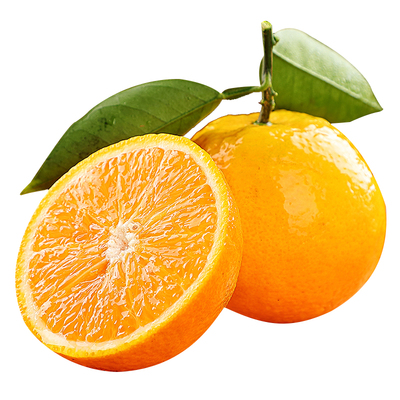 【精选品质】新鲜夏橙！香甜多汁
