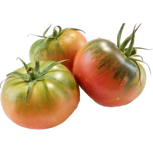 水果番茄种子孑草莓柿子铁皮大西红柿苗秧四季蔬菜种籽秧苗大全