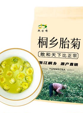 新花上市！桐乡直销源产地胎菊