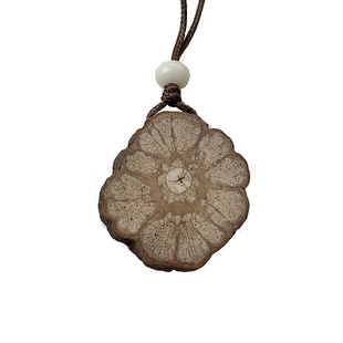 素匠己木随身扩香木龙须藤原木精油熏香吊坠毛衣链田园风自然小众