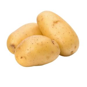 黄心小土豆北方土豆产地直发新鲜现挖黄心土豆马铃薯