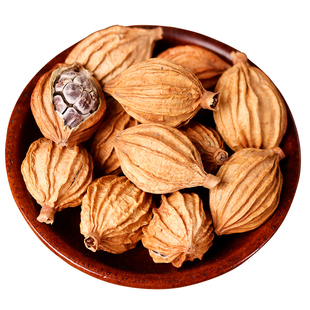 香砂500g川砂仁 沙仁金砂仁优质四川特产炖卤肉卤菜调料香料大全