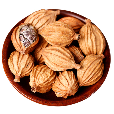 福小兵香砂仁当地直采