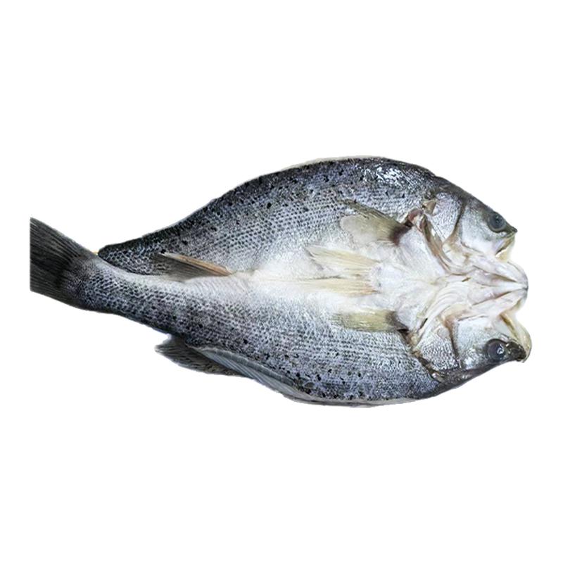 开背海鲈鱼新鲜免处理深海捕捞七星鲈鱼烤鱼商用海鲜水产年货批发