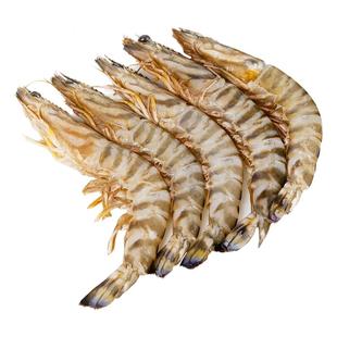 舟山野生竹节虾特大鲜活斑节虾海捕九节虾新鲜速冻大虾超大基围虾