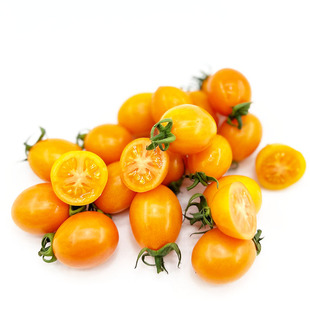 新鲜黄圣女果 黄色樱桃小番茄珍珠西红柿 即食酸甜水果西餐沙拉菜