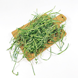 包邮高纤维草试吃SPS高山草果树草小麦草大麦燕麦草花园草段100克