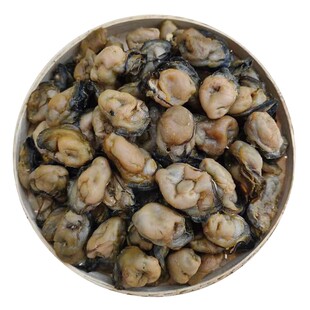优质生蚝干生晒大牡蛎干海蛎干货蚝豉汕尾本地海鲜干货250g包邮