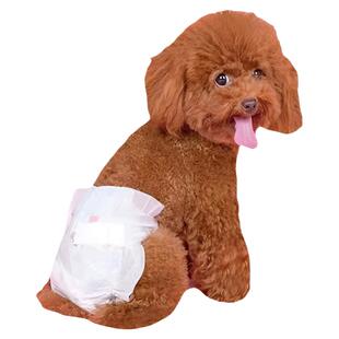 母狗生理裤大狗纸尿裤幼犬小母狗尿不湿姨妈裤月经裤卫生巾发情裤