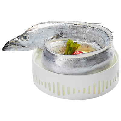 舟山海钓带鱼渔船直供透骨新鲜