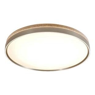 松伟【雅美】新款现代轻奢风客厅卧室五档智能语音吸顶灯全光谱