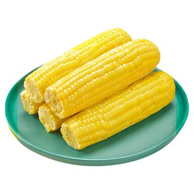 玉米神甜水果玉米棒开袋即食代餐