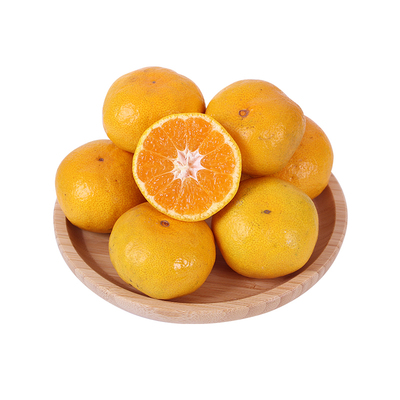 新鲜临海涌泉桔子无核高山桔子