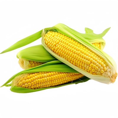 粤甜29号水果玉米种子正品原包装