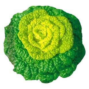 金满地黄心乌油菜青菜小白菜心快菜茼蒿荠菜空心菜鸡毛菜籽种子