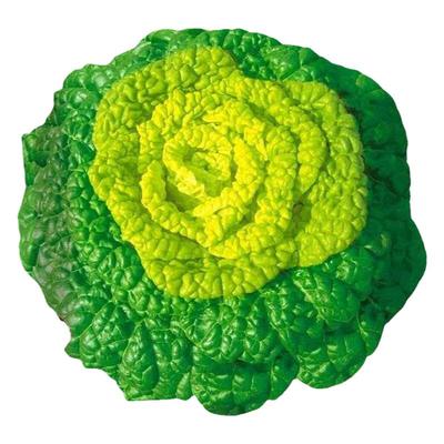 油菜青菜小白菜荠菜菜籽种子