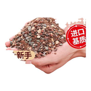 新品多肉土纯颗粒土专用营养土泥炭种植仙人球植物叶插花土盖面石