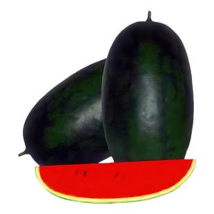 正宗黑美人大西瓜种子超甜高产黑皮红壤阳台盆栽水果种籽蔬菜种孑