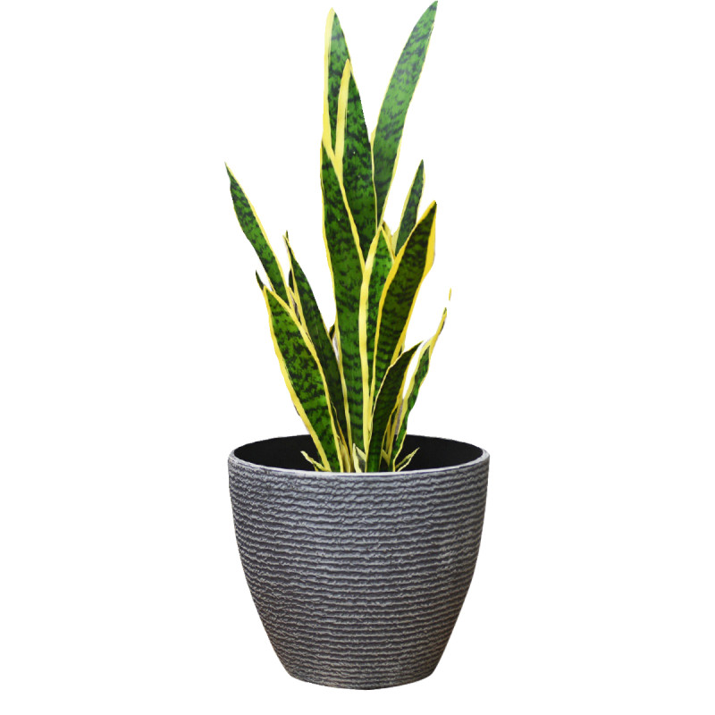 加厚塑料简约大号家用绿植花盆