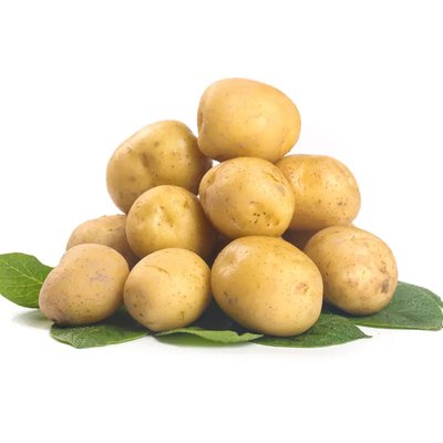 湖北恩施高山小土豆荆州自现