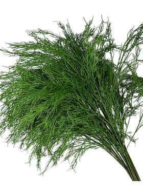 婚庆热门芦荀草仿真花结婚仿真龙须草绿植婚礼背景网红草森系