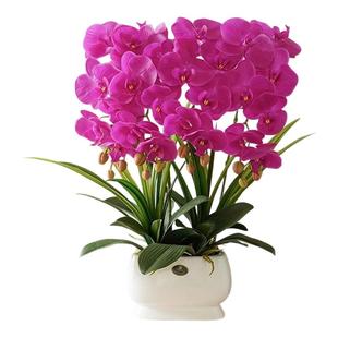 高端轻奢蝴蝶兰仿真花艺高档摆花客厅餐桌摆设花装饰高级假花摆件