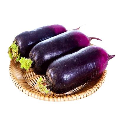 新鲜现摘冰糖心冰淇淋萝卜