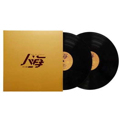 官方正版 汪峰 2025全新实体专辑《人海》2LP黑胶唱片