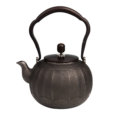 十二铸铁壶晋韵堂铸铁