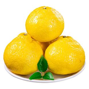 正宗黄金贡柚湖南怀化新鲜应季水果纯甜田象山青沙春香桔柚子大果