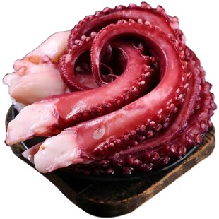 鱿鱼须新鲜商用章鱼须鲜活现切冷冻鱿鱼爪八爪须铁板烧烤火锅食材