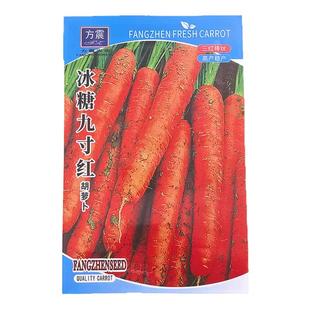 冰糖九寸红胡萝卜种子水果萝卜四季秋冬蔬菜种籽大全胡萝卜种籽