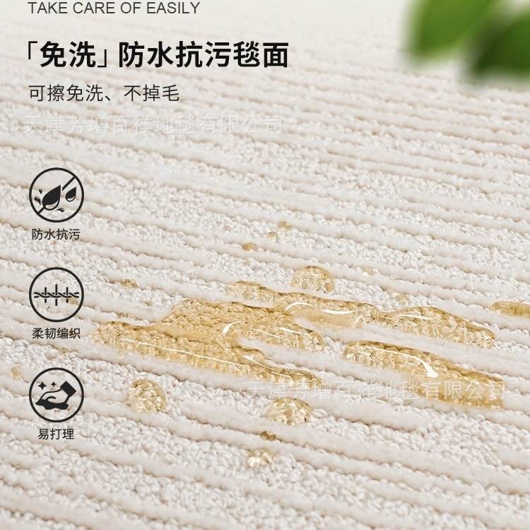 1防水防污地毯客厅2024新款毯极沙发奢轻简奶油素色房间高级风卧