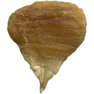 安南双芽鱼胶 厚肉花胶干货 野的鱼肚鱼鳔煲汤滋补养生胶原蛋白多