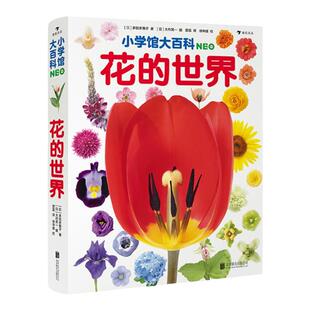 浪花朵朵 小学馆大百科花的世界 7-10岁儿童科普百科自然图鉴植物画册百科类书籍