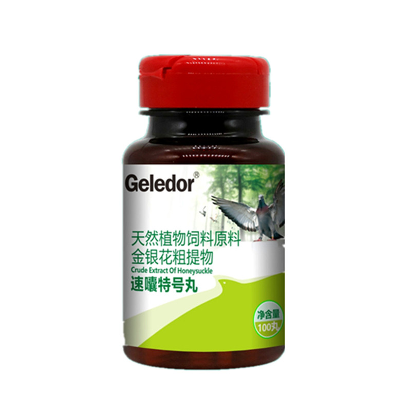 格莱德嗉囔特号丸赛鸽嗉囊肠道