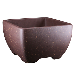 中号高档精品名家老艺人朱永南高四方铺砂刺柏赤松榆树紫砂盆景盆