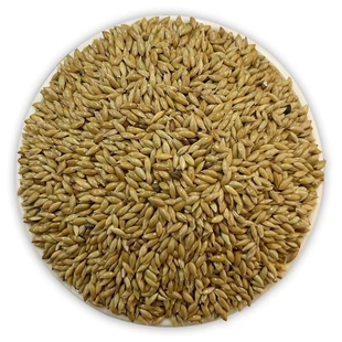 新货进口加纳利子/鹦鹉鸟食/油尖粟/白尖粟 草庐籽鸟粮包邮