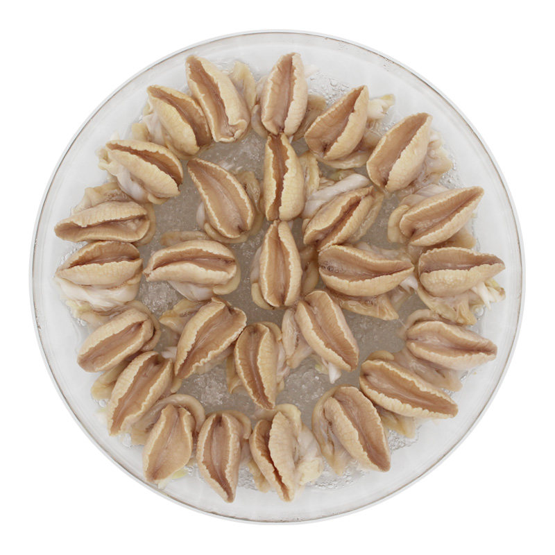 冷冻蜗牛白玉蜗牛肉烧烤食材