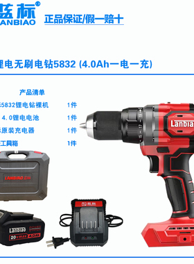 蓝标电动工具搭架者钢索16V20V无刷充电手钻锂电钻大功率电池无u.