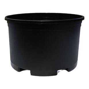 新款加厚黑色矮胖加仑花盆塑料绿萝月季清仓大口径透气小盆栽花盆