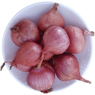 东北特产正宗春季毛葱头鬼子珠葱小洋葱大毛葱红葱头洋葱农家种植