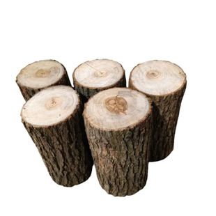 正宗香樟木带皮木墩凳树墩庭院花架实木造景摆件原木底座天然防虫