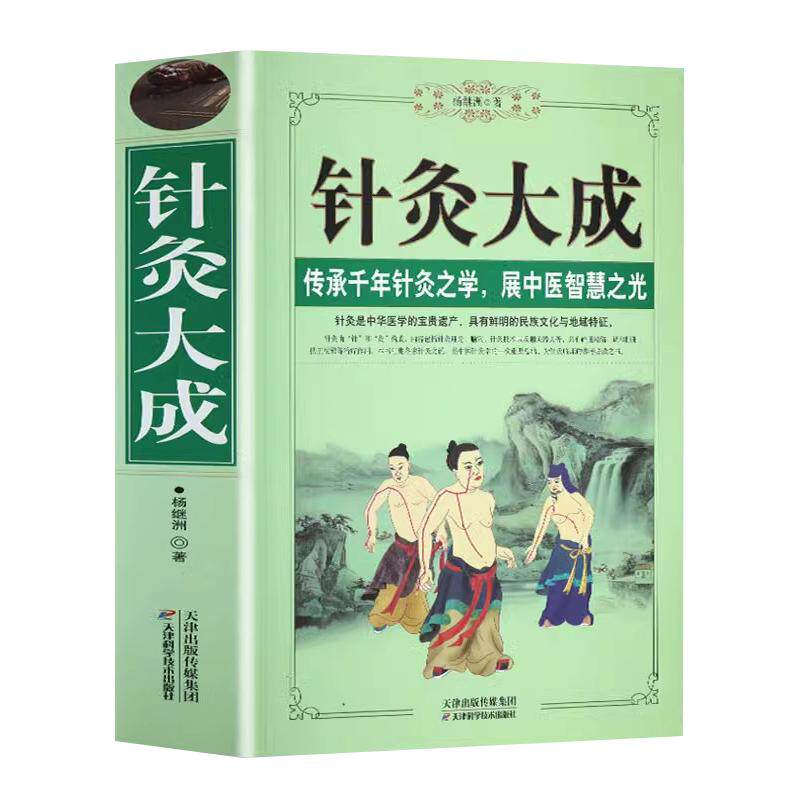 正版 针灸大成 原文集注白话解完整版杨继洲艾灸中医针灸基础理论临床医学大全针灸学全集内经甲乙经校释灸绳董氏奇穴治疗析要书籍