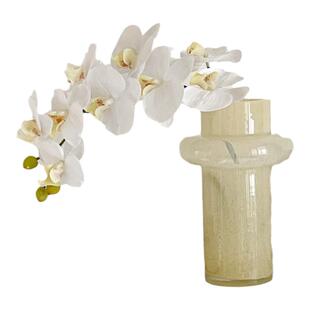 LOKO高品质蝴蝶兰花仿真花手感保湿家居餐桌插花摆件假花客厅装饰